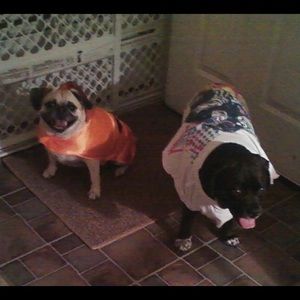 Meet your Posher, Angie